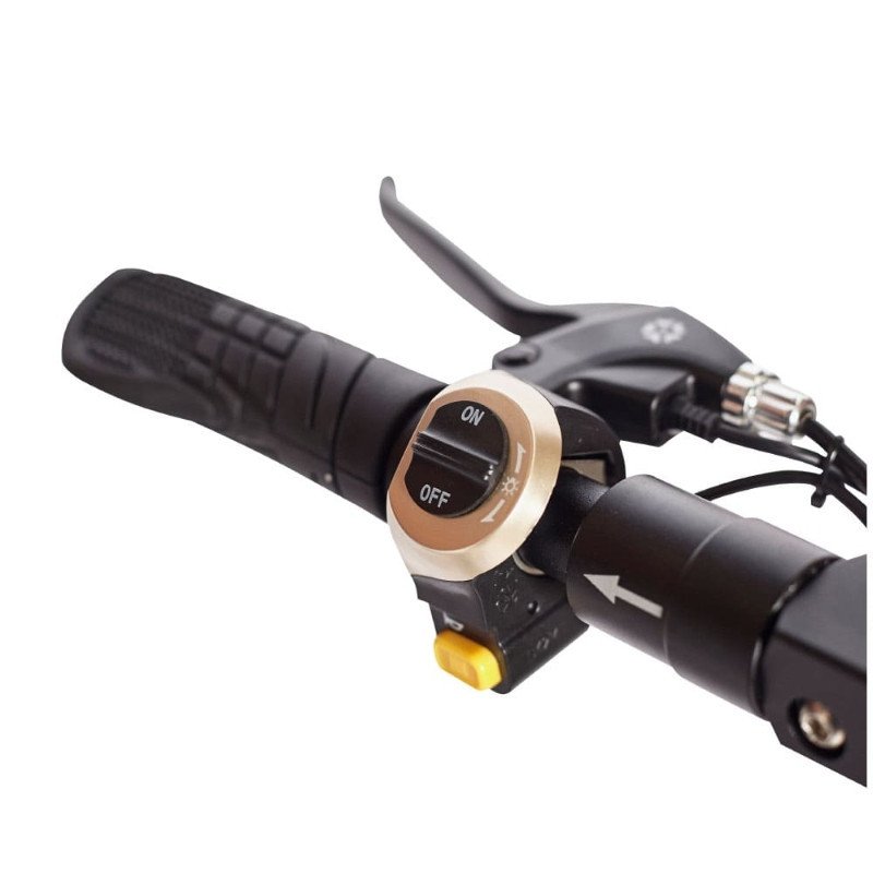 Monopatin Eléctrico Max You S1