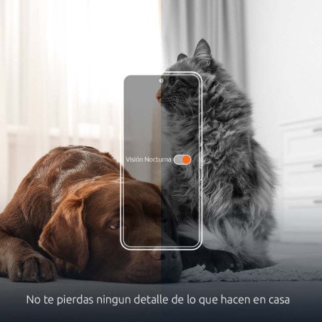 Dispensador Inteligente de alimento para mascotas NEXXT NHA-P610