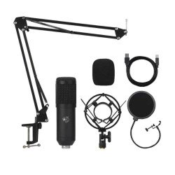 Micrófono PC Shenlong SM-ARM909 USB 2