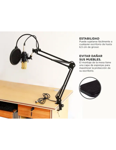 Soporte Para Microfono + Brazo Articulado GADNIC MICCOND9