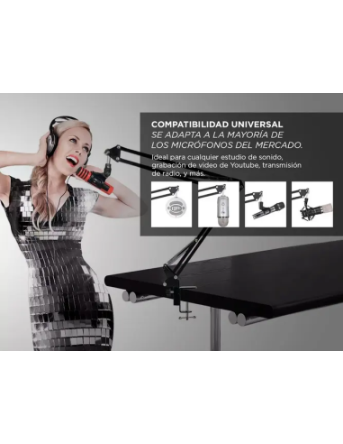 Soporte Para Microfono + Brazo Articulado GADNIC MICCOND9