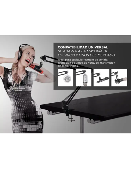 Soporte Para Microfono + Brazo Articulado GADNIC MICCOND9