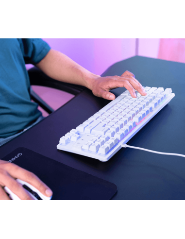 Teclado Gamer Trust Thado Gxt833W TKL RGB ES