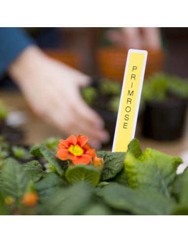 Etiquetadora portatil brother PT-H110