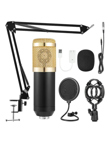 Microfono PC condenser USB/Plug con soporte brazo