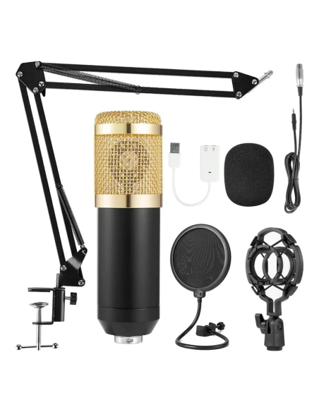 Microfono PC condenser USB/Plug con soporte brazo