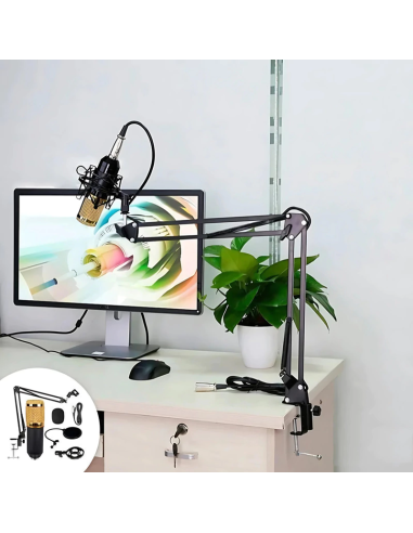 Microfono PC condenser USB/Plug con soporte brazo