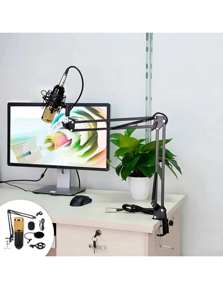 Microfono PC condenser USB/Plug con soporte brazo