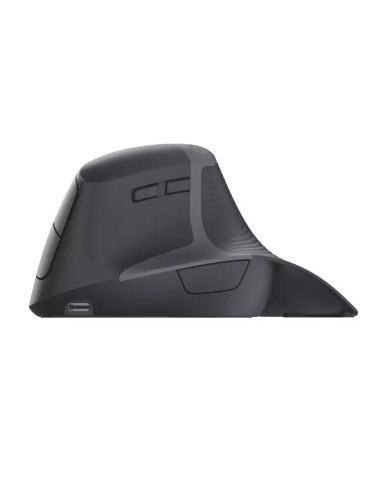 Mouse Inalambrico Ergonomico Noax Ergo One (Negro)
